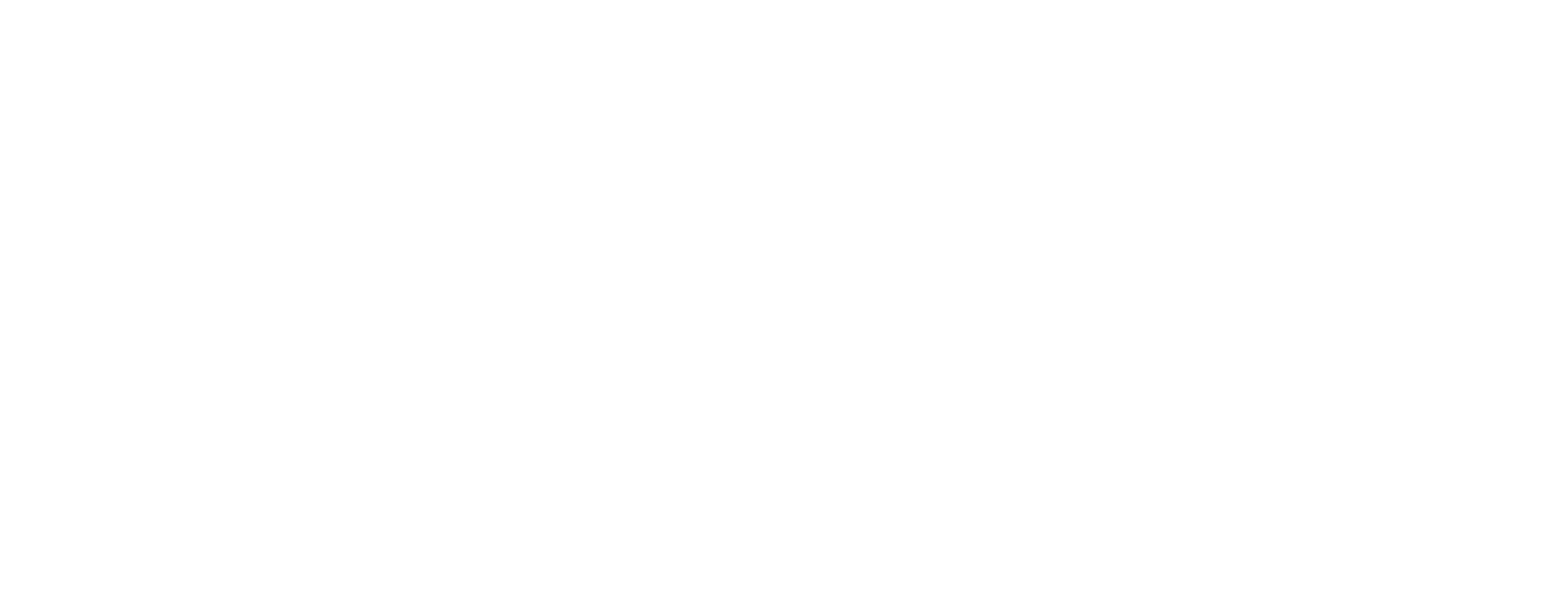 World Sleep Society